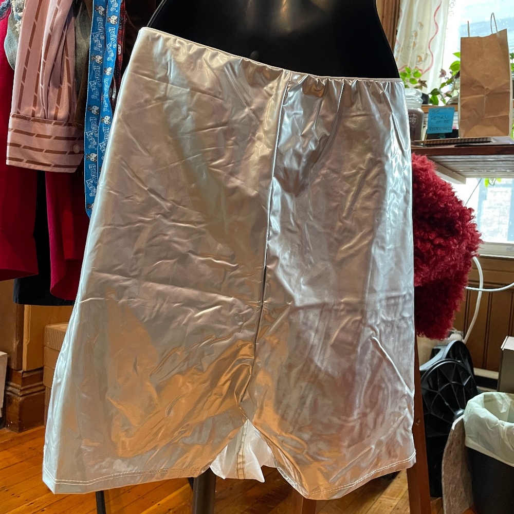 Silver Shorts (Women's L)